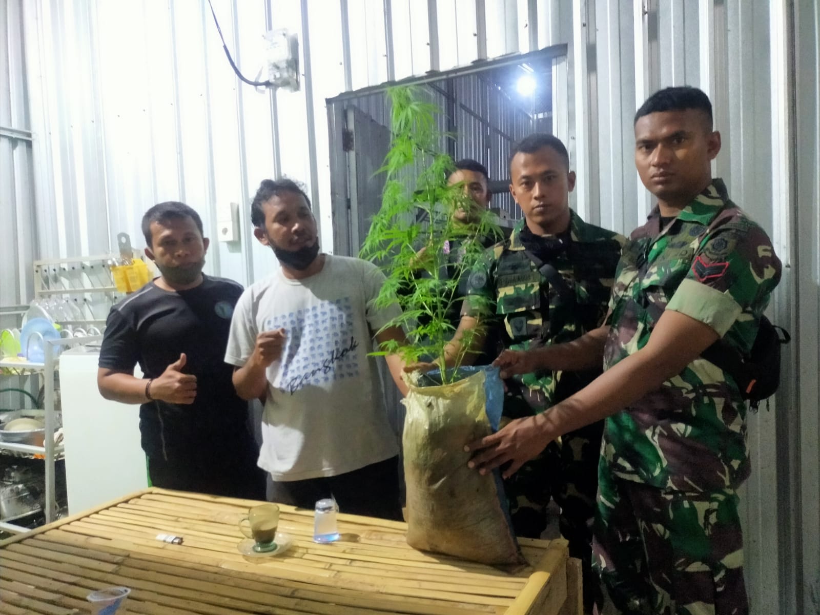 Breaking News: Intel Kodim Gowa Temukan Pohon Ganja di Sekitaran Kampus di Samata